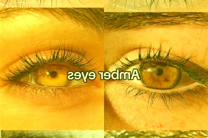 Amelia, 24, a brunette amber-eyed caribbean companion based in Duque Bacelar. Offering Deep French Kissing, Fetish, CIM, OWO. Available for incall and outcal...
