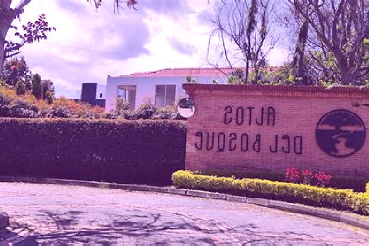 Amelia, 24 — Escort in Fraccionamiento Hacienda del Bosque, Mexico