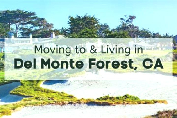 Amelia, 25 — Escort in Del Monte Forest, United States