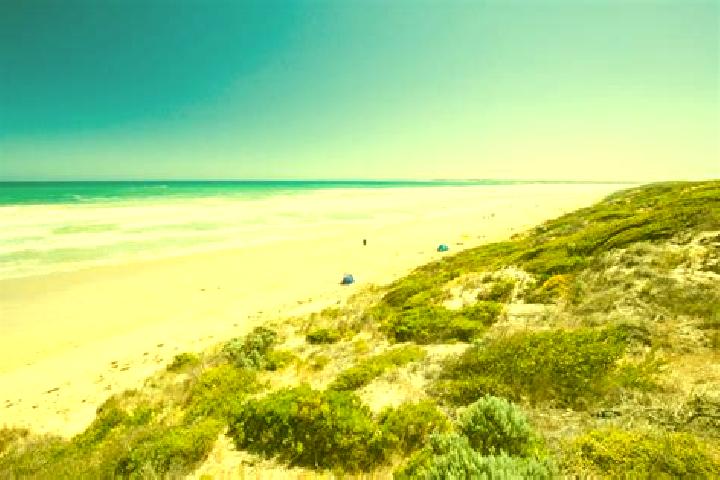 Amelia, 25 — Escort in Ocean Grove, Australia