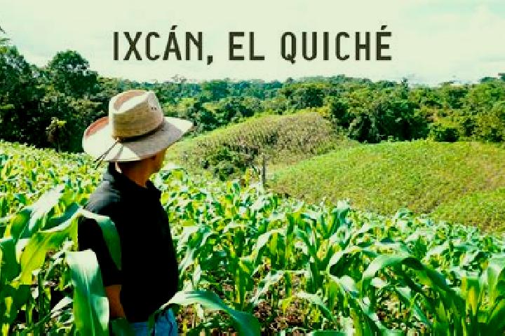 Amelia, 25 — Escort in Palpoala Ixcan, Mexico