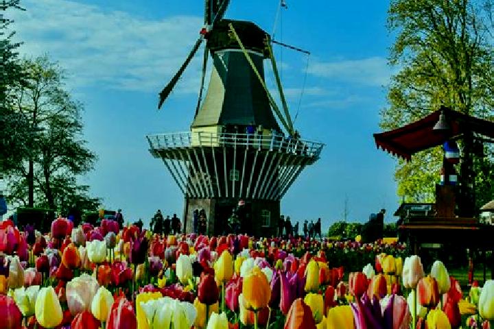 Amelia, 25 — Escort in Schutsboom, Netherlands