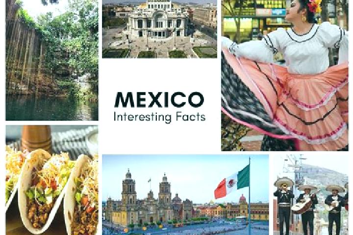 Amelia, 25 — Escort in Zequentic, Mexico
