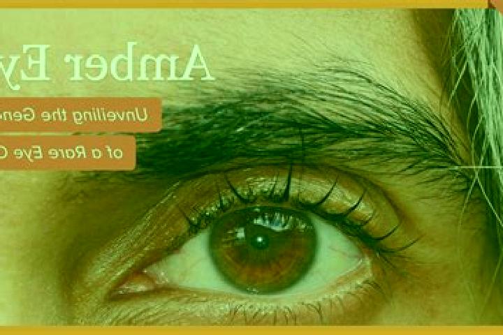 Amelia, 26, a black amber-eyed mixed companion based in Weaverville. Offering Dinner Date, Tantra, Overnight. Available for incall and outcall, day and eveni...