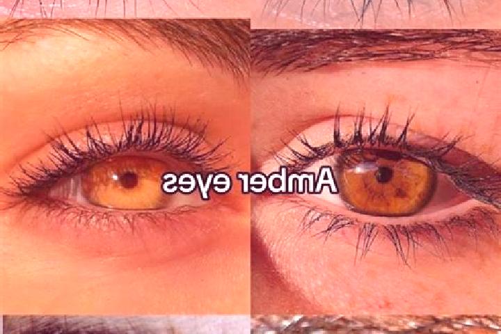 Amelia, 26, a brunette amber-eyed slavic companion based in Sauri. Offering CIM, Striptease, OWO, Dinner Date, Fetish. Available for incall and outcall, over...
