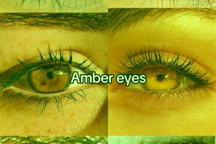 Amelia, 26, a chestnut amber-eyed ebony companion based in San Ignacio de Tupile. Offering 69, Party Girl, GFE. Available for incall and outcall, day and eve...