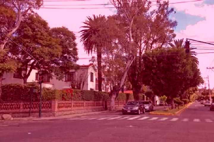 Amelia, 26 — Escort in Colonia Anahuac, Mexico