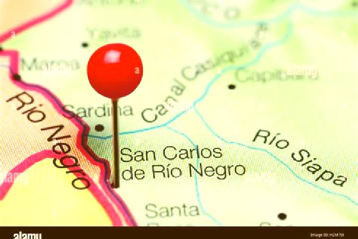Amelia, 26 — Escort in San Carlos de Rio Negro, Venezuela