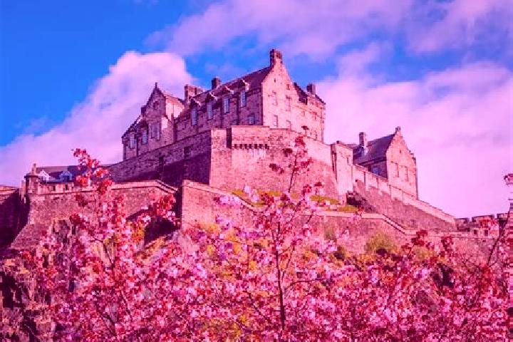Amelia, 26 — Escort in Scotland, United States