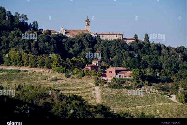 Amelia, 26 — Escort in Serralunga di Crea, Italy