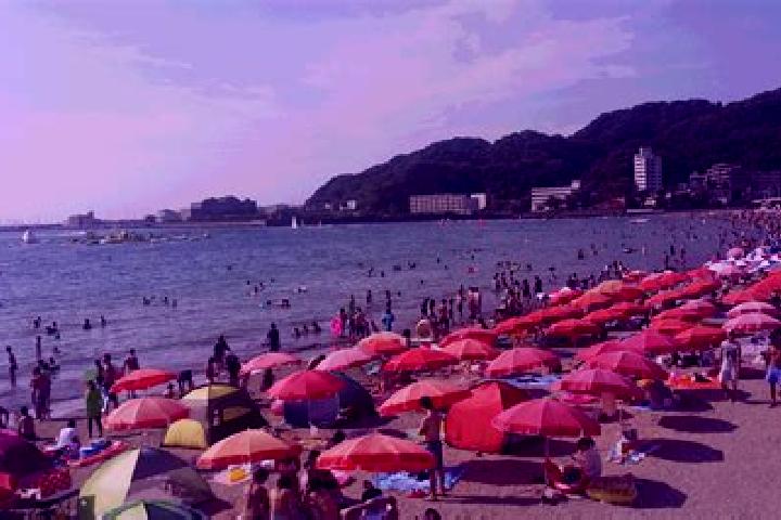 Amelia, 26 — Escort in Zushi, Japan