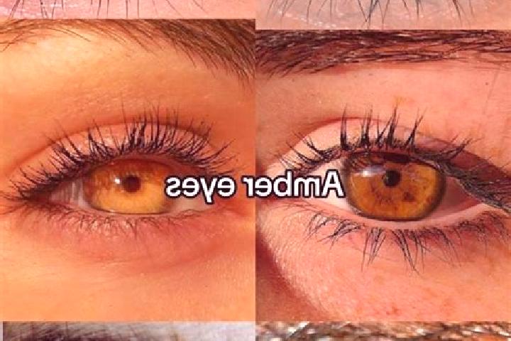Amelia, 27, a chestnut amber-eyed asian companion based in Mtwango. Offering 69, Massage, CIM. Available for incall and outcall, day and evening dates.