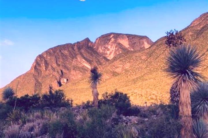 Amelia, 27 — Escort in La Flor de Jimulco, Mexico