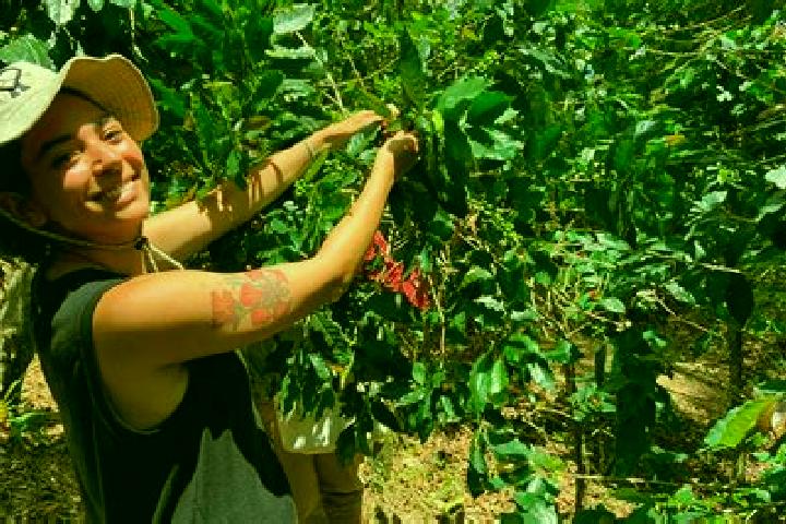 Amelia, 27 — Escort in San Roque de Cumbaza, Peru