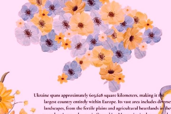 Amelia, 27 — Escort in Verkhnia Krynka, Ukraine