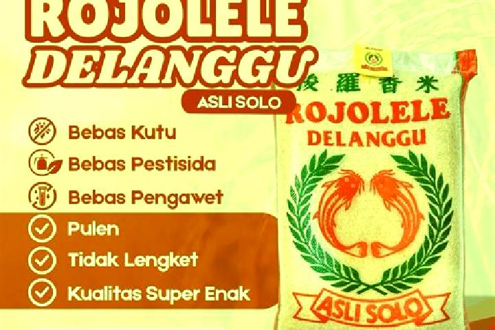 Amelia, 28 — Escort in Delanggu, Indonesia