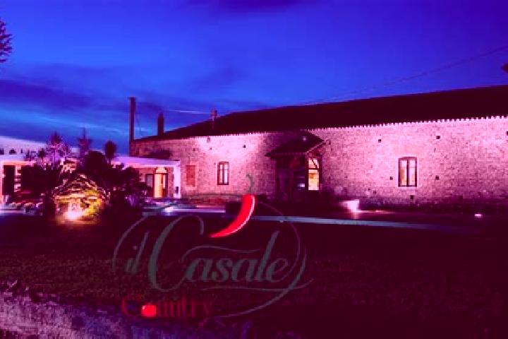 Amelia, 28 — Escort in Feroleto Antico, Italy
