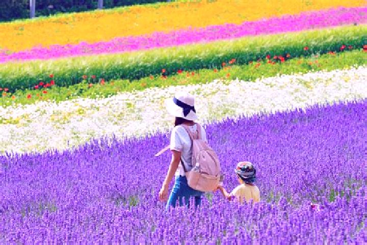 Amelia, 28 — Escort in Kami-furano, Japan