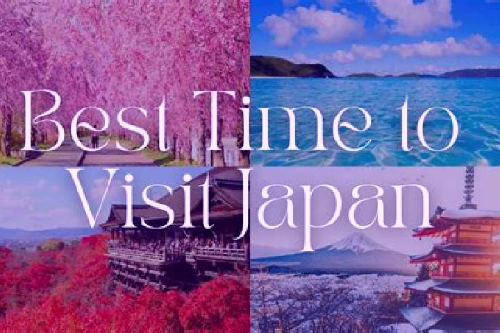 Amelia, 28 — Escort in Mochibaru, Japan