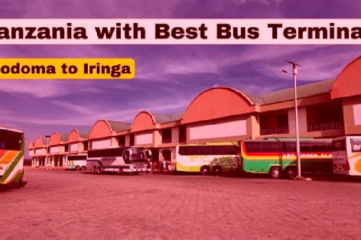 Amelia, 28 — Escort in Usangi, Tanzania