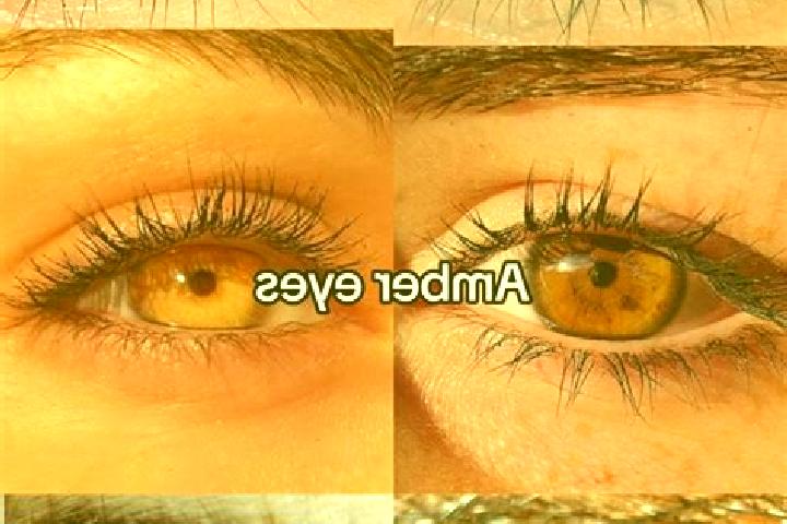 Amelia, 29, a dark blonde amber-eyed caribbean companion based in Entrambasaguas. Offering GFE, OWO. Available for incall and outcall, day and evening dates.