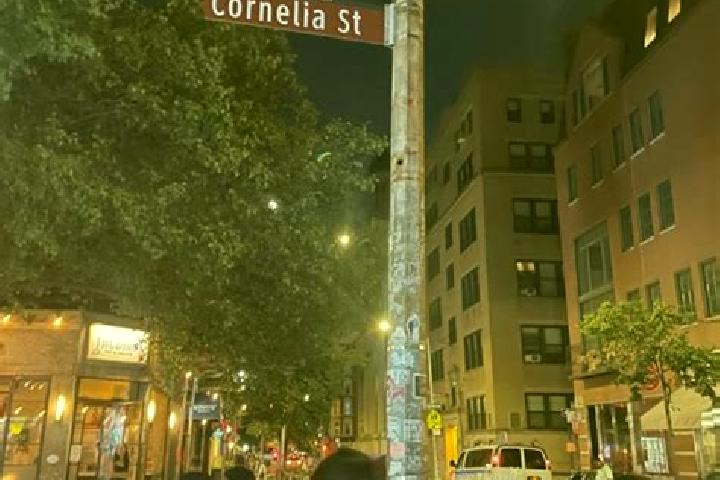 Amelia, 29 — Escort in Coal City, United States