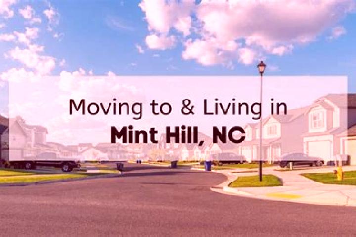 Amelia, 29 — Escort in Mint Hill, United States