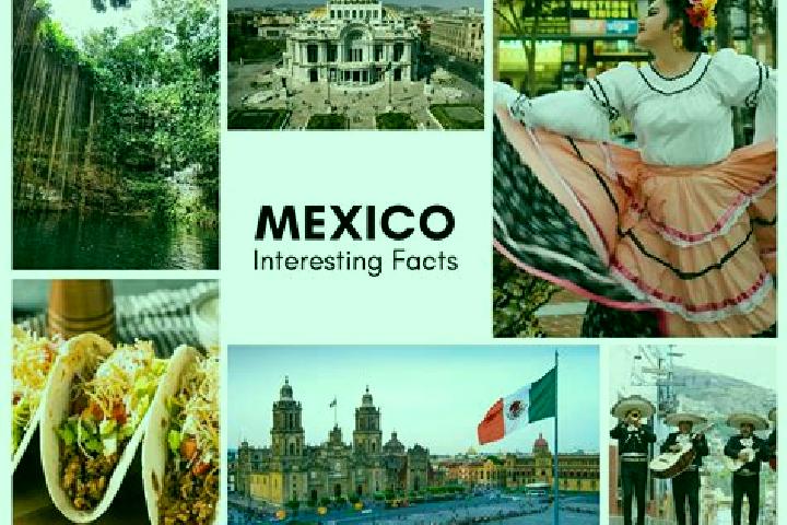 Amelia, 30 — Escort in Rosario, Mexico