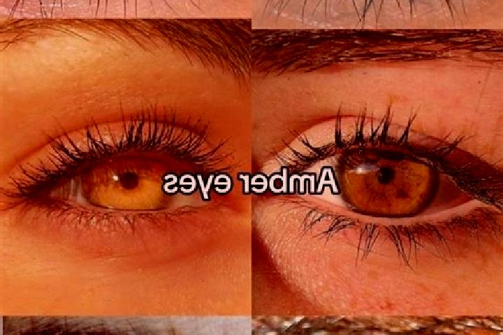 Amelia, 31, a brunette amber-eyed caucasian companion based in Landenberg. Offering A-Level, Massage. Available for incall and outcall, overnight bookings av...