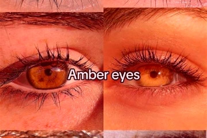 Amelia, 31, a brunette amber-eyed latina companion based in Linevo. Offering CIM, Prostate Massage, Deep French Kissing, Dinner Date, Tantra. Available for i...