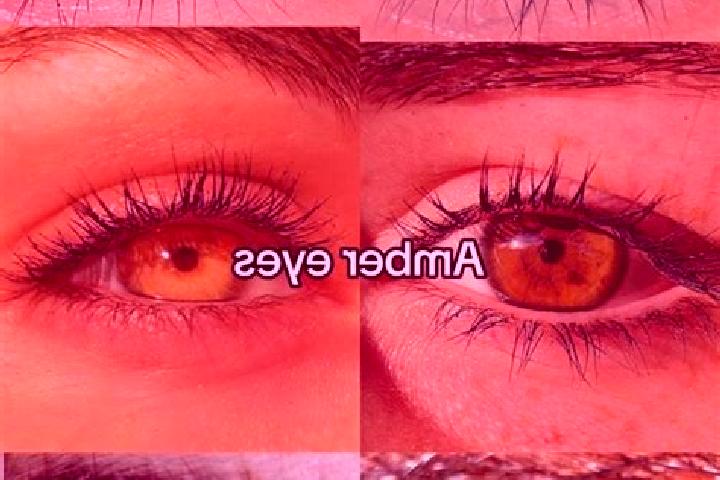 Amelia, 31, a chestnut amber-eyed middle eastern companion based in Montolivet. Offering Dinner Date, BDSM, Couples, Erotic Massage, Deep French Kissing. Ava...