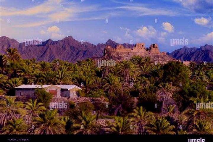 Amelia, 31 — Escort in Rustaq, Oman