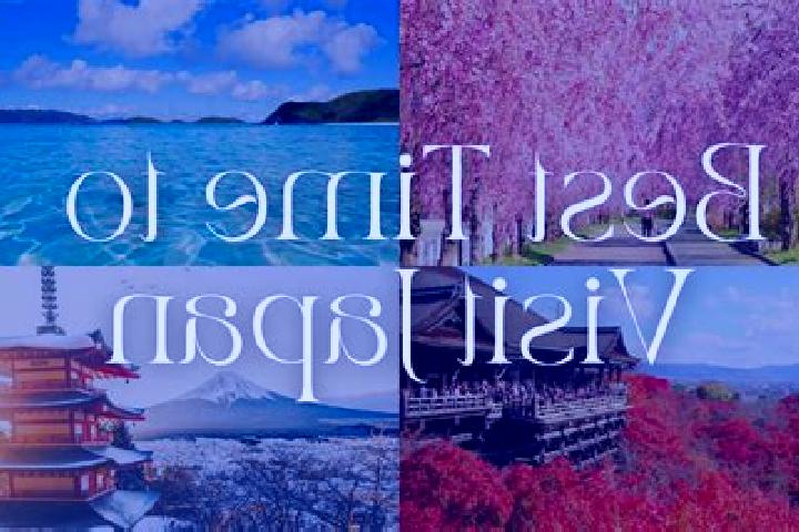 Amelia, 31 — Escort in Sarugamori, Japan