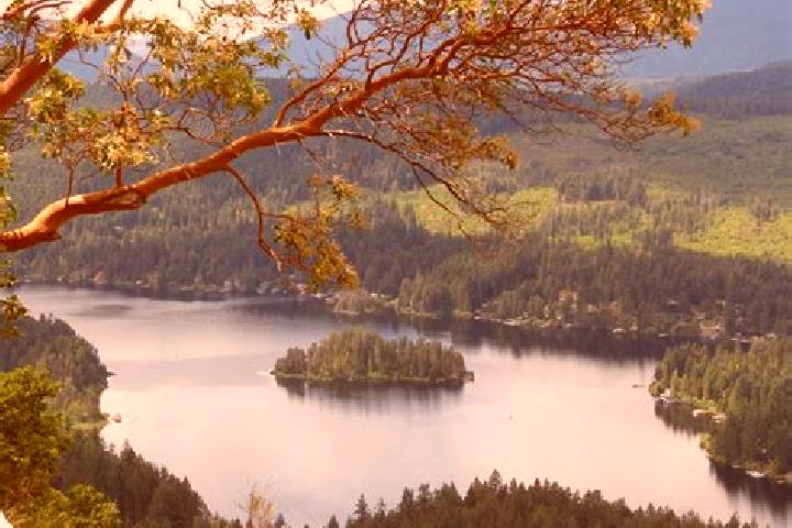 Amelia, 31 — Escort in Shawnigan Lake, Canada