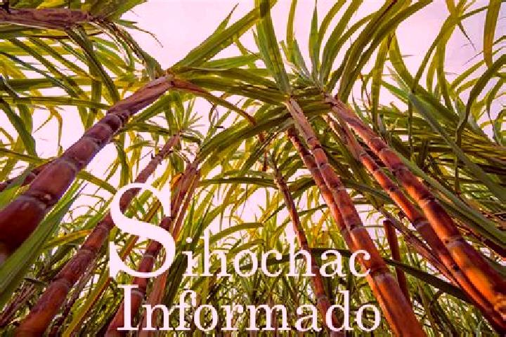 Amelia, 31 — Escort in Sihochac, Mexico