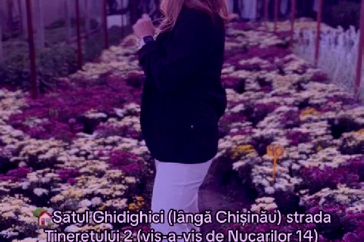 Amelia, 31 — Escort in Valea Nucarilor, Romania