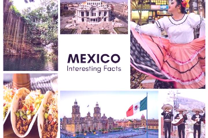 Amelia, 31 — Escort in Zatzio (Tzatzio), Mexico