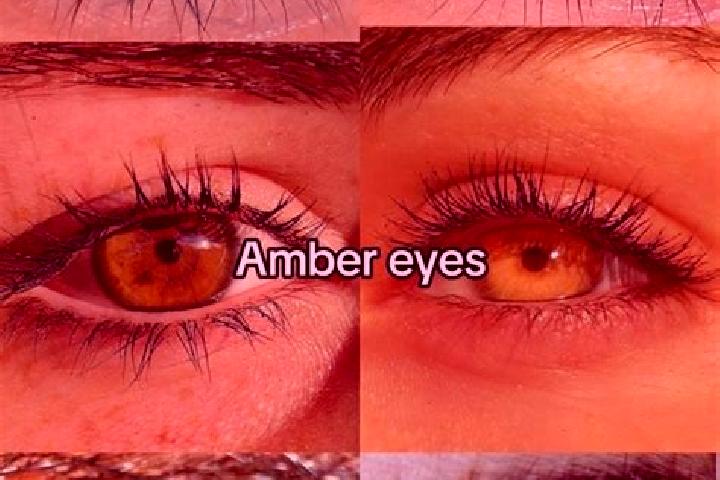 Amelia, 32, a brunette amber-eyed indian companion based in Kruisstraat. Offering Striptease, Girlfriend Experience, GFE, A-Level, BDSM. Available for incall...