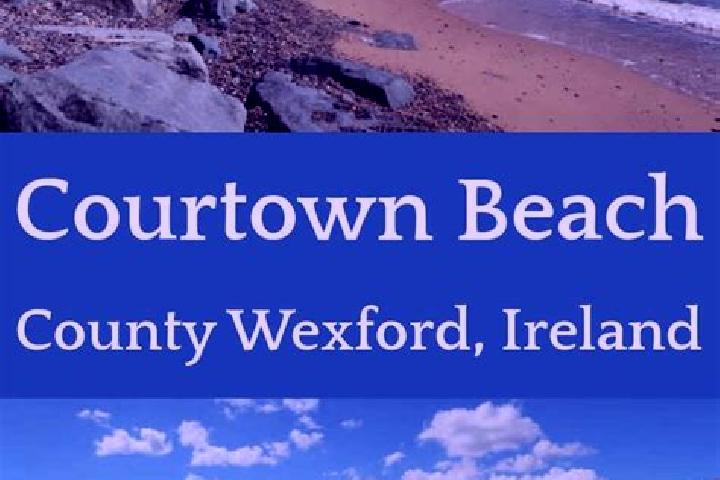 Amelia, 32 — Escort in Courtown, Ireland