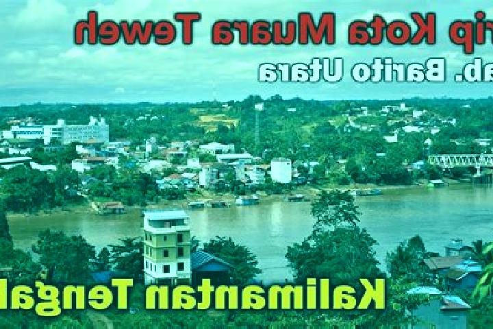 Amelia, 32 — Escort in Muara Teweh, Indonesia