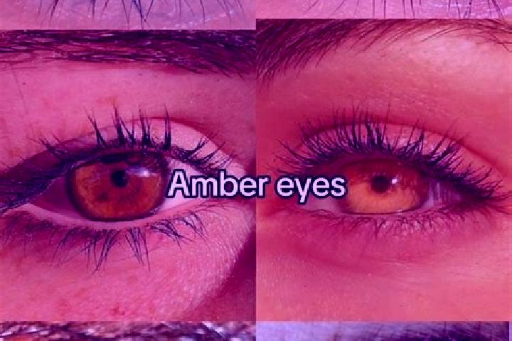 Amelia, 33, a brunette amber-eyed asian companion based in Plothen. Offering Duos, Massage, Erotic Massage, CIM, GFE. Available for incall and outcall, overn...