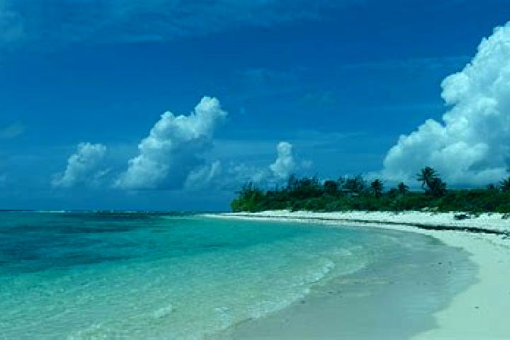 Amelia, 33 — Escort in Little Cayman, Cayman Islands