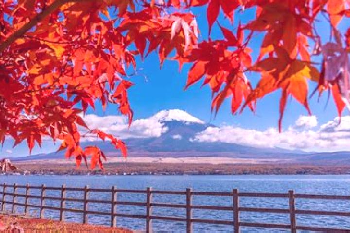 Amelia, 33 — Escort in Matsuura, Japan