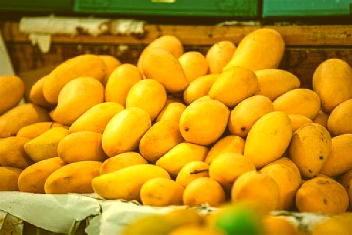 Amelia, 33 — Escort in Plan de los Mangos, Mexico