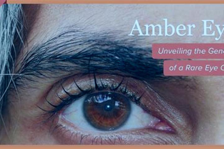 Amelia, 34, a black amber-eyed mixed companion based in Baksha. Offering Overnight, Dinner Date, Girlfriend Experience. Available for incall and outcall, day...