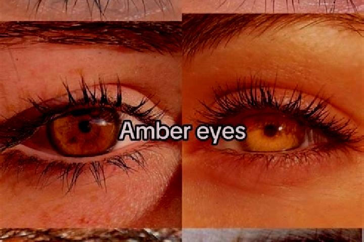 Amelia, 34, a brunette amber-eyed asian companion based in Sinmak. Offering CIM, Girlfriend Experience, Deep French Kissing. Available for incall and outcall...