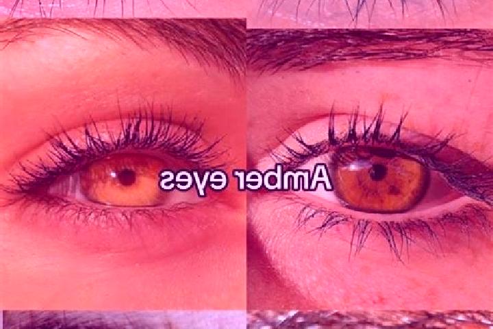 Amelia, 34, a chestnut amber-eyed european companion based in Colotenango. Offering A-Level, OWO. Available for incall and outcall, day and evening dates.