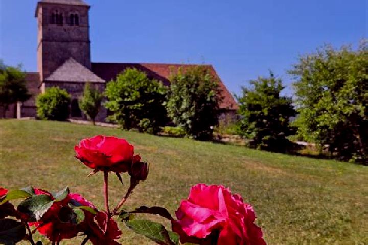 Amelia, 34 — Escort in Champ-le-Duc, France