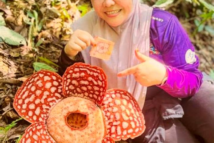 Amelia, 34 — Escort in Kampung Bongor, Malaysia