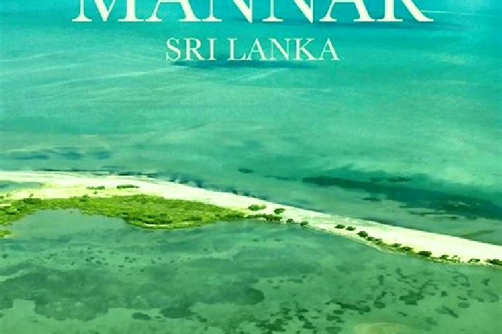 Amelia, 34 — Escort in Mannar, Sri Lanka